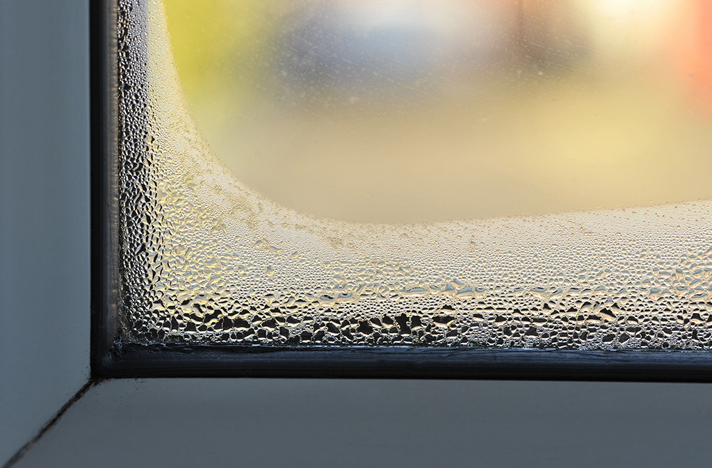 5 Signs That Your House Windows in Oahu Are Due for a Replacement