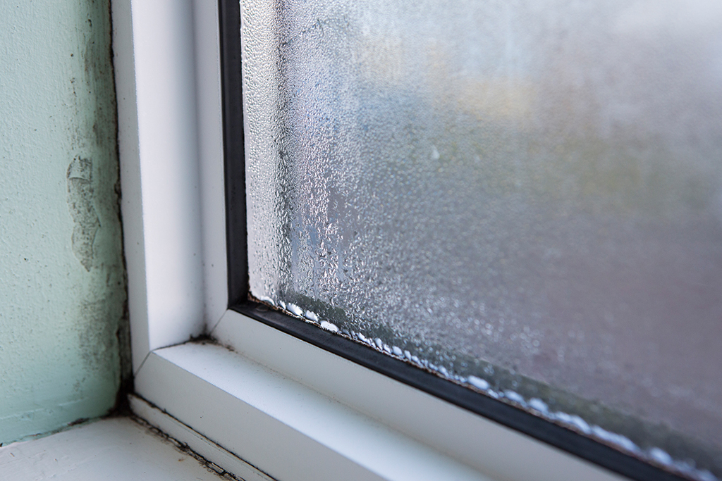 7 Problems Your Home Windows Can Face | Windows in Oahu