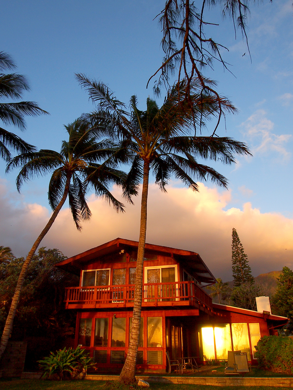 The Most Sought-for Styles for House Windows in Oahu