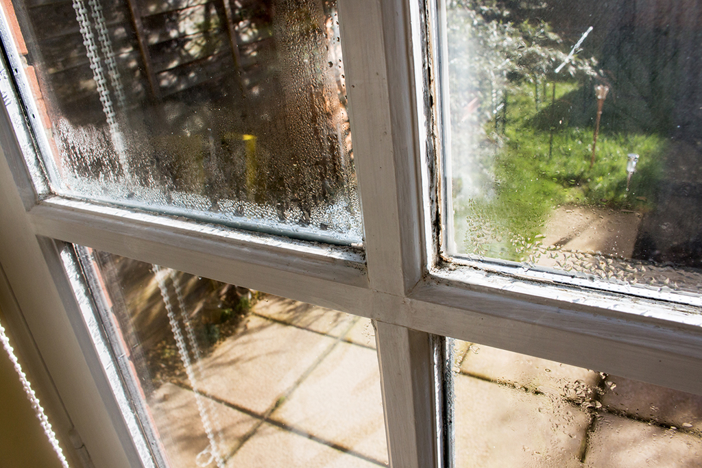 Signs That Your Windows Need Fixing | Oahu, HI