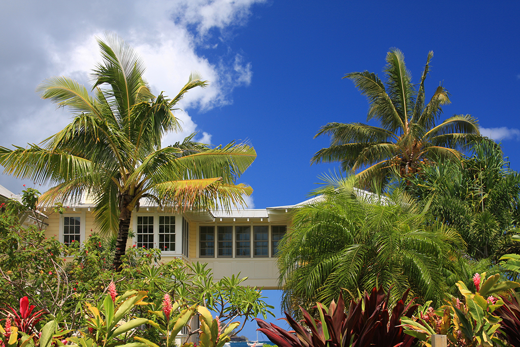 Sunburst Windows Of Hawaii And Home Windows: Let’s Frame And Fix It | Oahu, HI