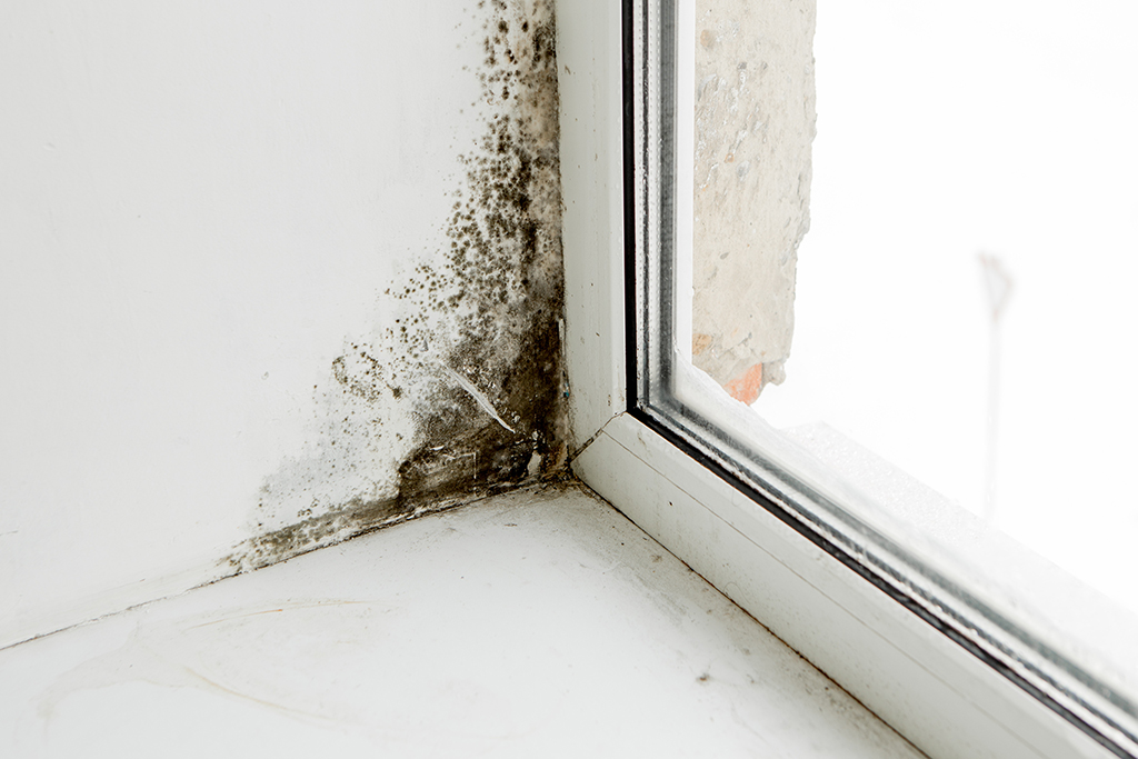 Signs Your Home Needs Replacement Windows | Hawaii