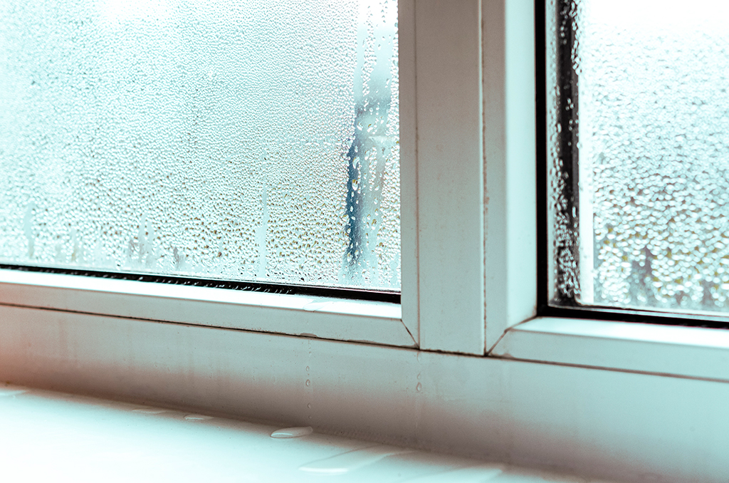 How to Determine If You Need Replacement Windows | Oahu, HI