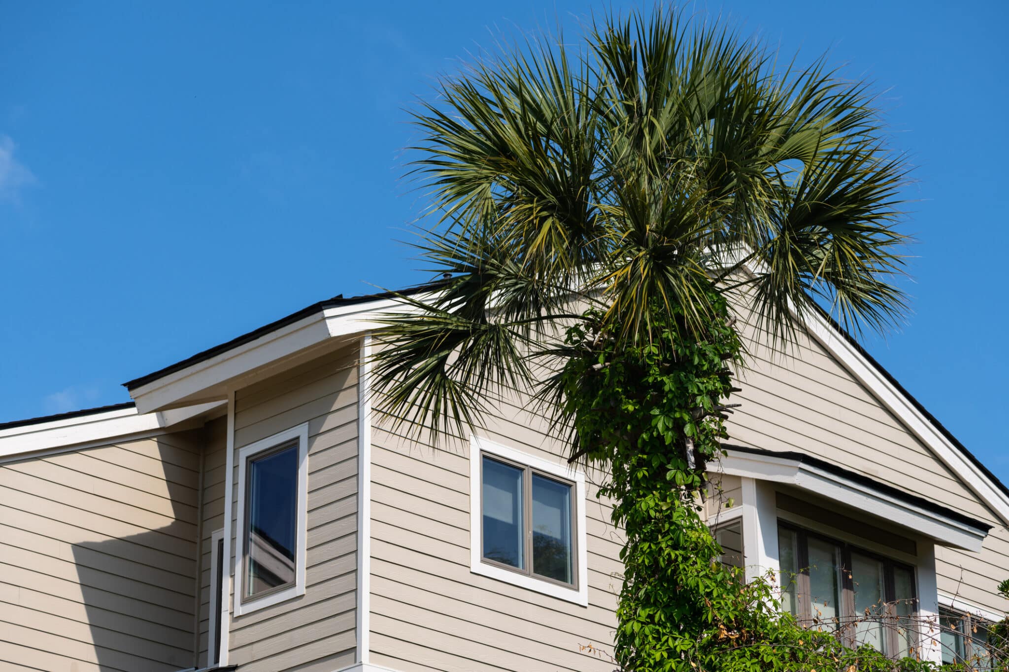 Choosing Storm-Ready Siding for Island Homes